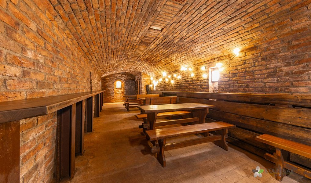 Prodej domu 124 m² s pozemkem 369 m², Hustopeče – náhled fotky 29
