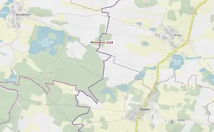 Dražba lesa 1 083 m², Kadov