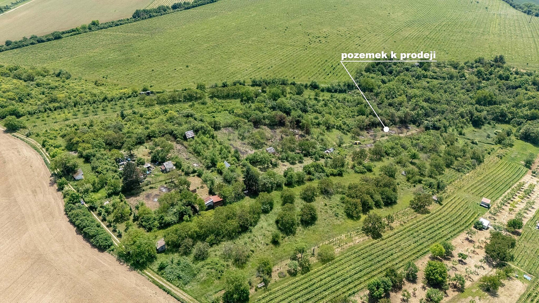 Prodej zahrady 1 007 m² — photo 4