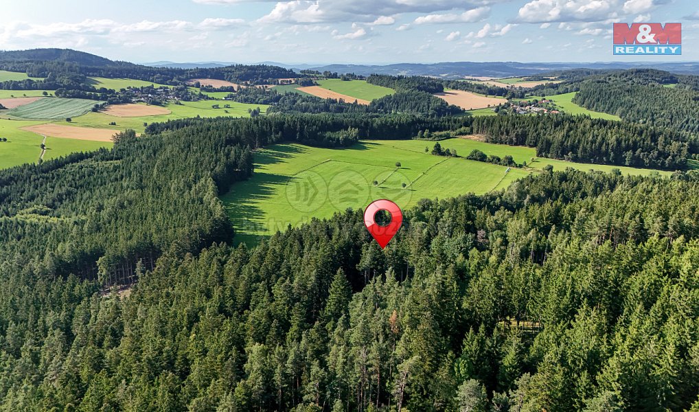 Prodej lesa 15 707 m², Petrovice u Sušice – náhled fotky 3
