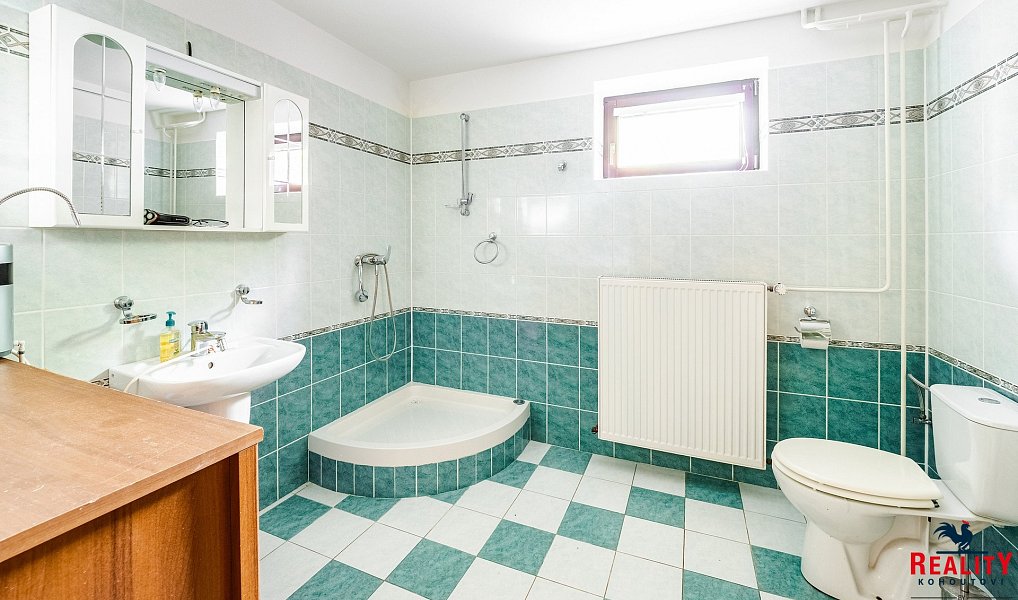 Prodej domu 313 m² s pozemkem 1 106 m², Tábor – náhled fotky 30