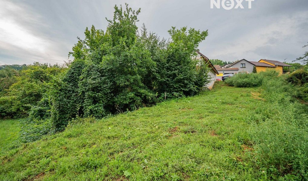 Prodej stavebního pozemku 3 456 m², Loštice – náhled fotky 9