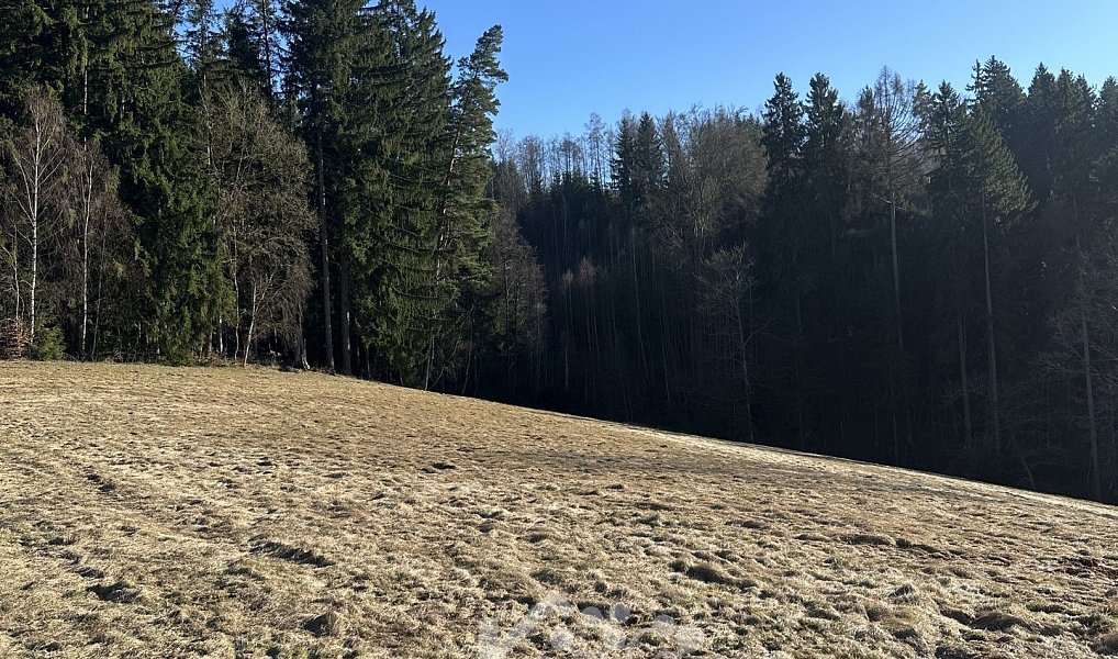 Prodej louky 14 441 m², Bozkov – náhled fotky 3