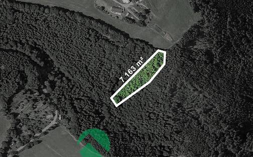 Prodej lesa 3 581 m², Malá Skála - Sněhov, okres Jablonec nad Nisou