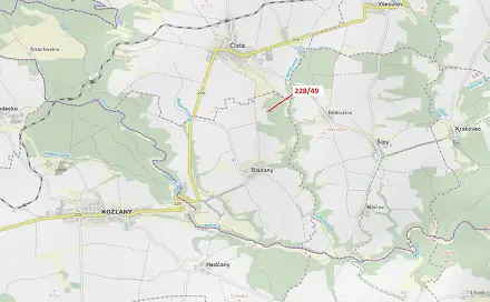 Dražba lesa 2 070 m², Břežany