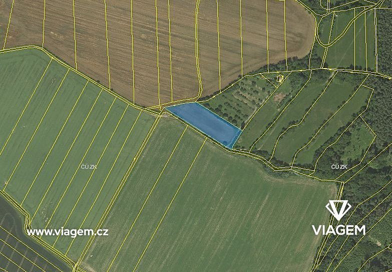 Prodej pole 739 m² – fotografie 3