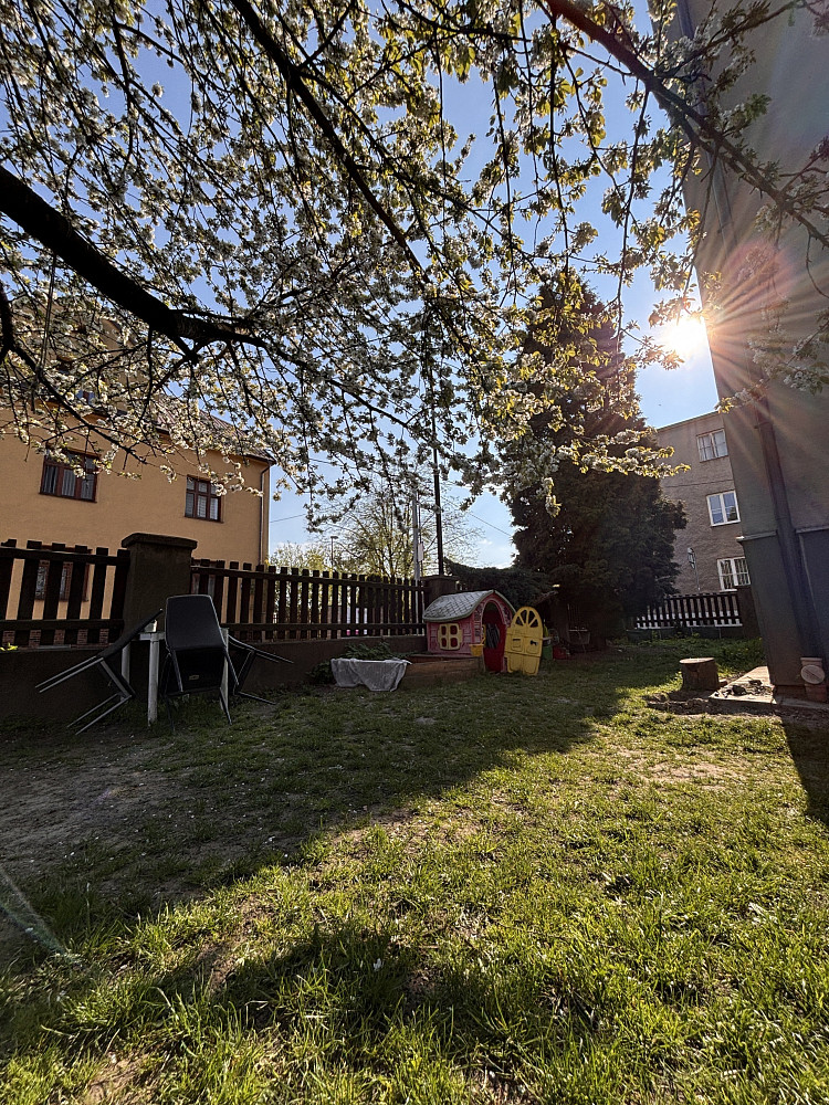 Pronájem bytu 1+1 50 m² — photo 2