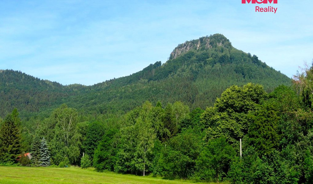 Prodej stavebního pozemku 3 276 m², Božanov – náhled fotky 14