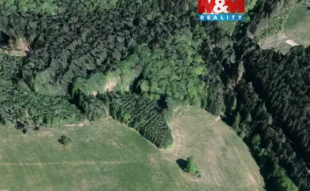 Prodej lesa 8 743 m², Valašská Senice, okres Vsetín