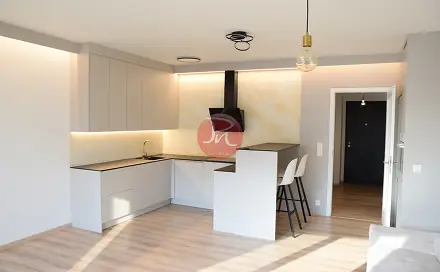 Pronájem bytu 2+kk 54 m², F. X. Riepla, Ostrava - Moravská Ostrava