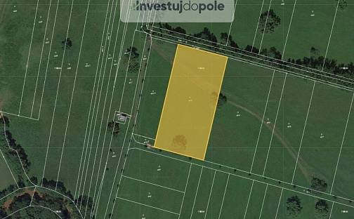 Prodej louky 9 953 m², Dvůr Králové nad Labem, okres Trutnov