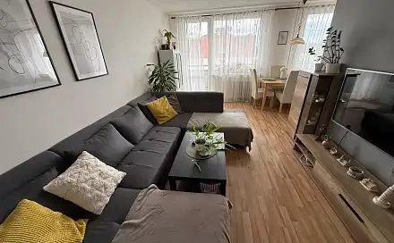 Prodej bytu 4+1 82 m², Albrechtická, Most