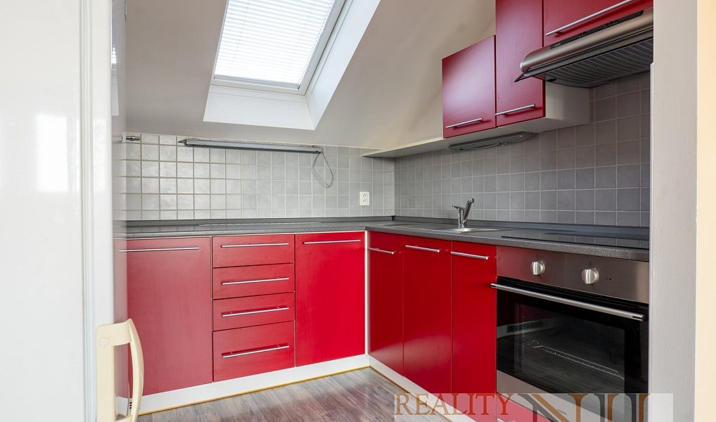 Prodej domu 225 m² s pozemkem 92 m², Plzeň – náhled fotky 19