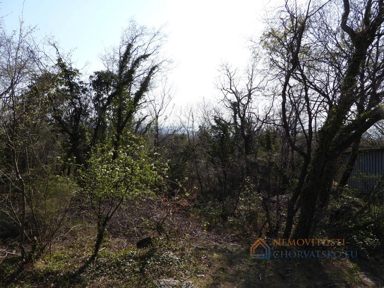 Prodej stavebního pozemku 2 361 m² - Widok 4