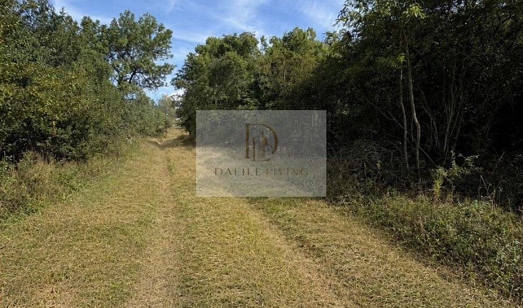 Prodej stavebního pozemku 1 591 m², Podbořany – náhled fotky 2