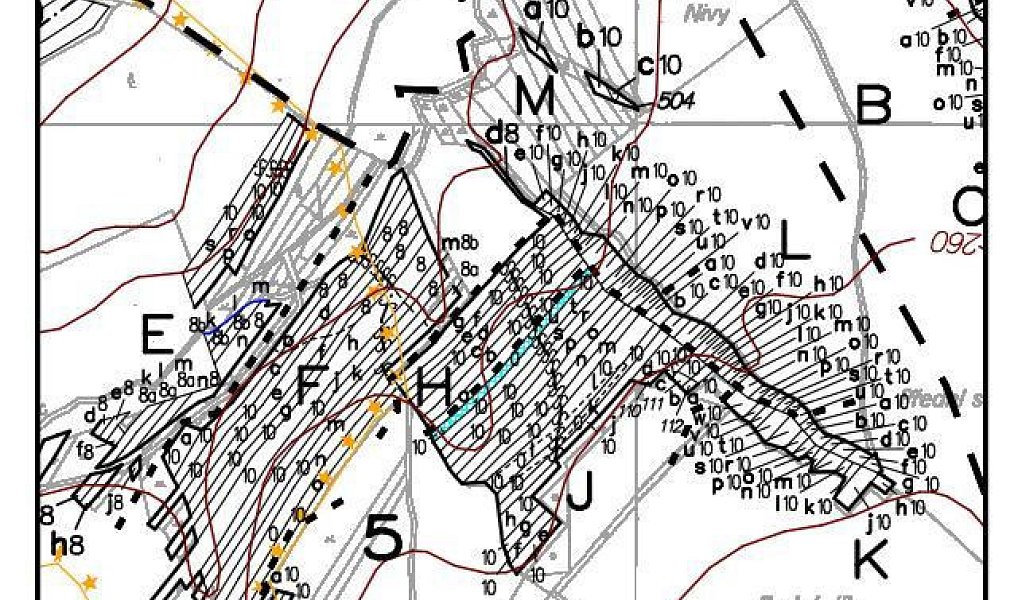Prodej lesa 1 876 m², Popovice – náhled fotky 3