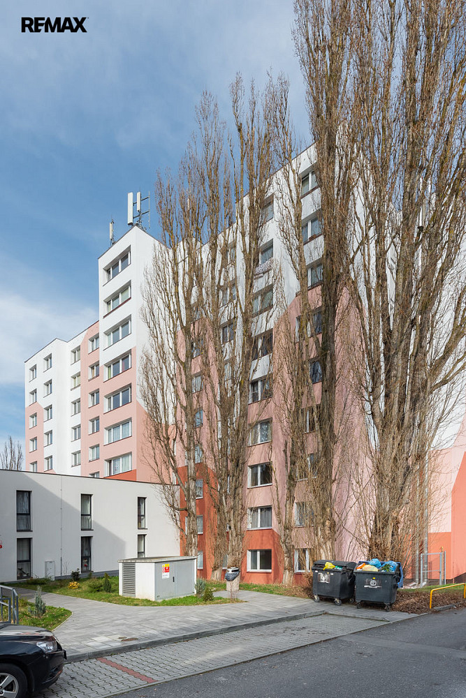 Pronájem bytu 1+1 46 m² – fotografie 3