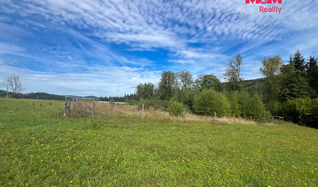 Prodej stavebního pozemku 64 409 m², Záblatí – náhled fotky 14