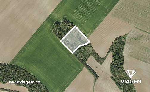 Prodej lesa 9 993 m²