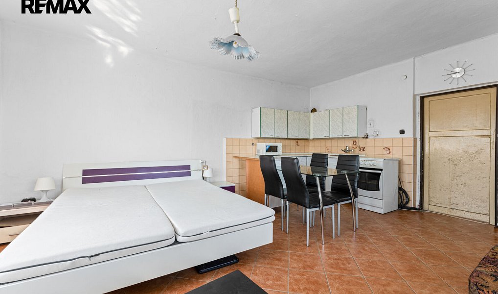 Prodej domu 222 m² s pozemkem 2 923 m², Mladá Vožice – náhled fotky 8