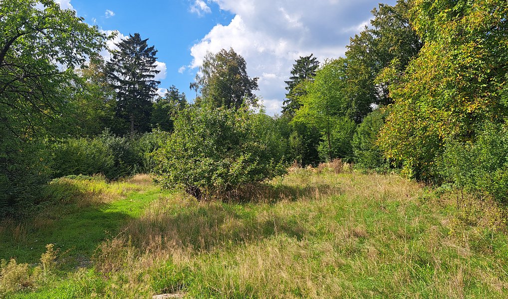 Prodej stavebního pozemku 3 619 m², Nemojov – náhled fotky 6