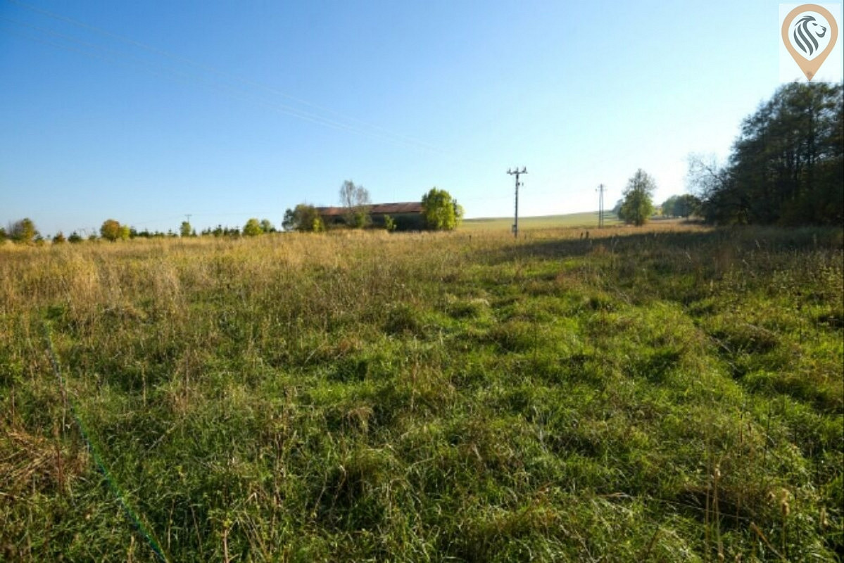 Prodej stavebního pozemku 12 886 m² — photo 3