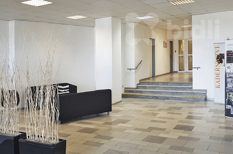 Pronájem kanceláře 30 m² – fotografie 2