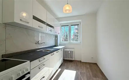 Pronájem bytu 3+1 57 m²