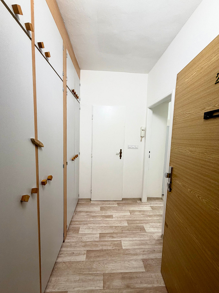 Pronájem bytu 1+kk 30 m² – fotografie 5