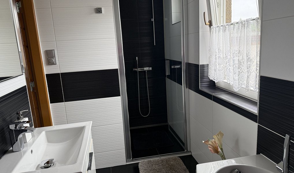 Prodej domu 429 m² s pozemkem 365 m², Ostrava – náhled fotky 7