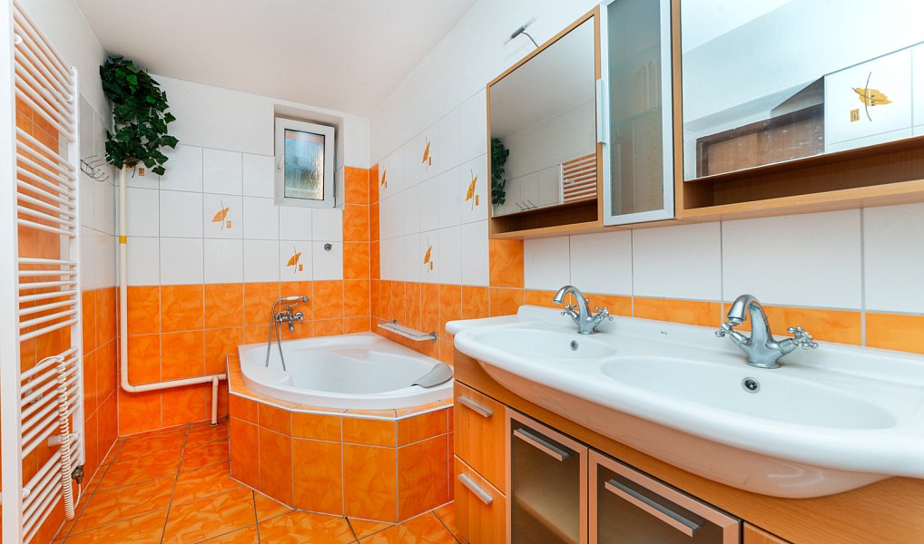 Prodej domu 450 m² s pozemkem 264 m², Sudice – náhled fotky 14