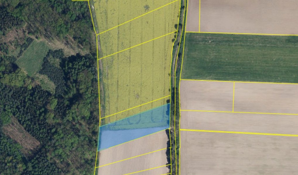 Prodej pole 7 494 m², Ledce – náhled fotky 6