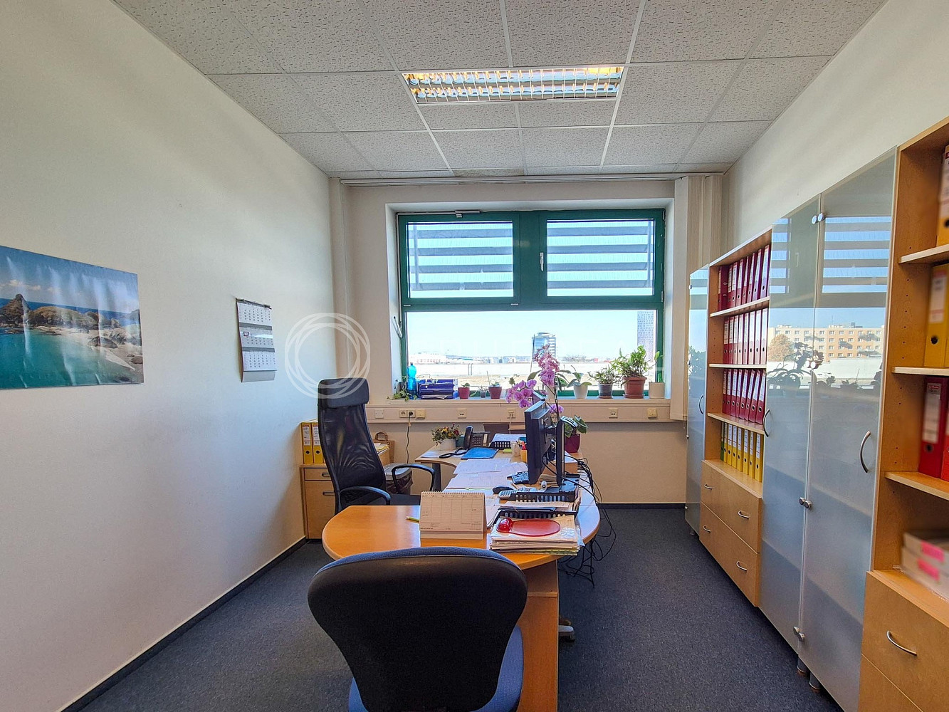 Pronájem kanceláře 173 m² — photo 5