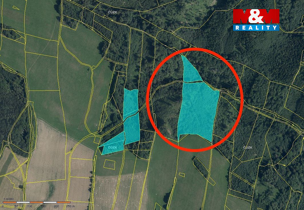 Prodej lesa 29 330 m² – fotografie 2
