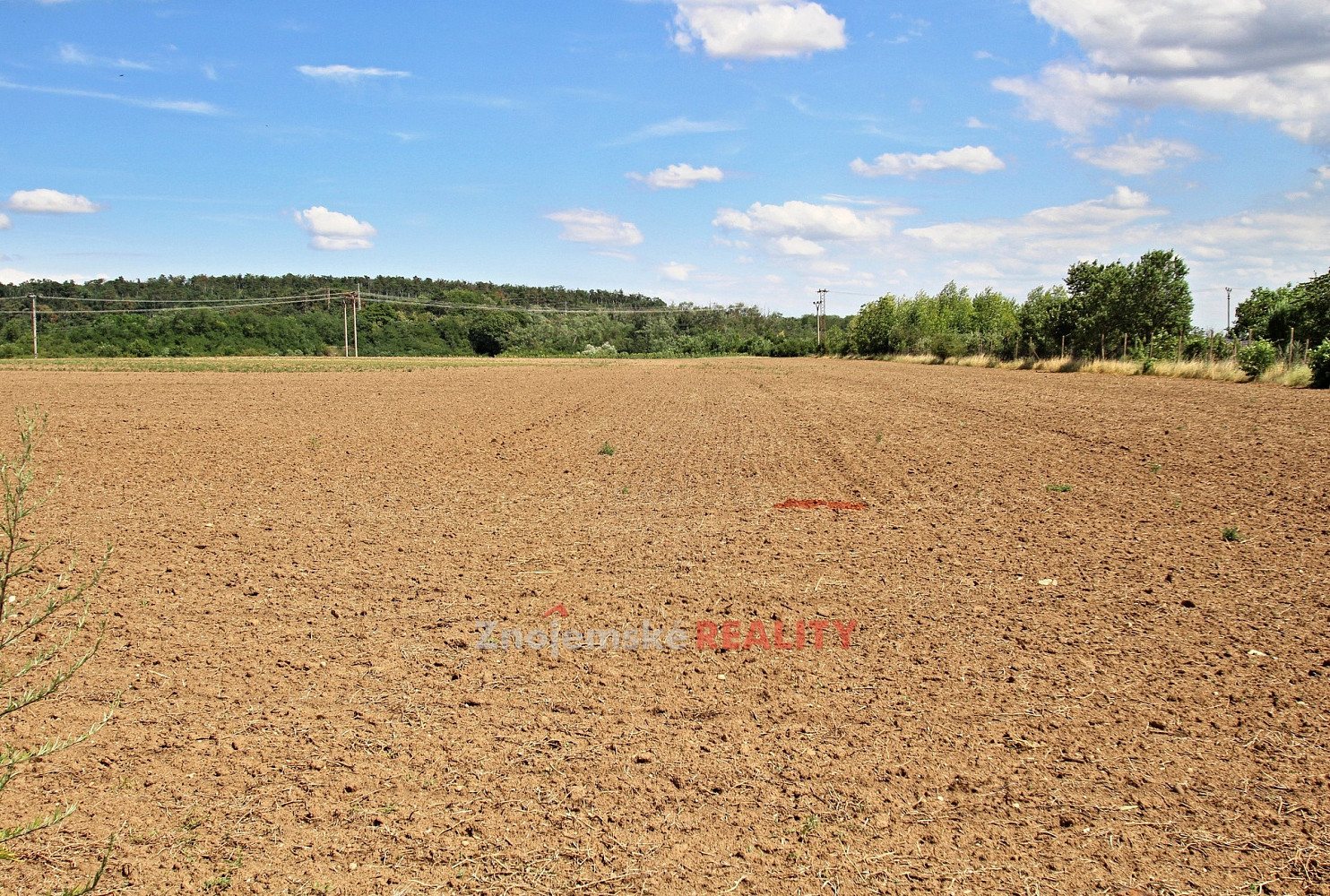 Prodej komerčního pozemku 19 700 m² – fotografie 4