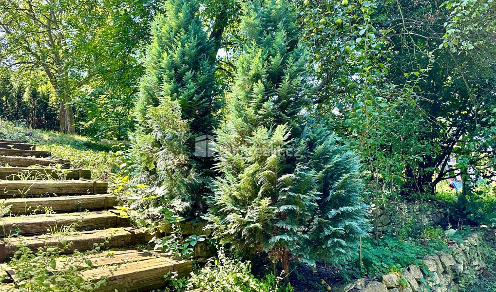Prodej chaty/chalupy 50 m², Slaný – náhled fotky 11