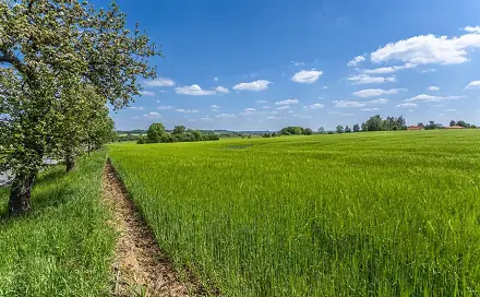 Prodej stavebního pozemku 805 m², Sulice, okres Praha-východ
