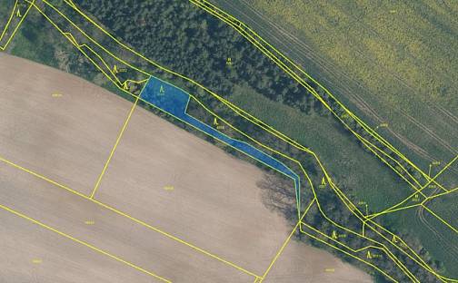Prodej lesa 1 750 m², Vehlovská, Mělník