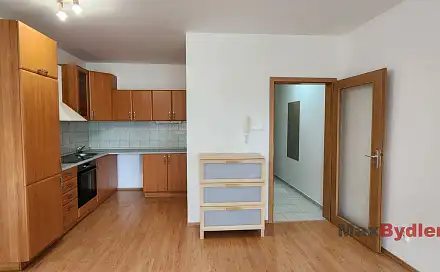 Pronájem bytu 1+kk 48 m²