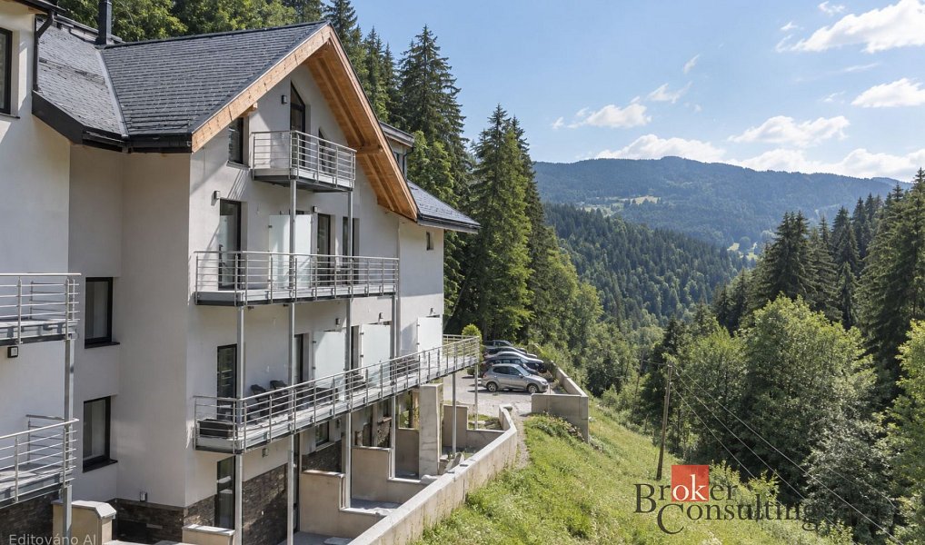 Prodej bytu 1+kk 32 m², Vítkovice – náhled fotky 5