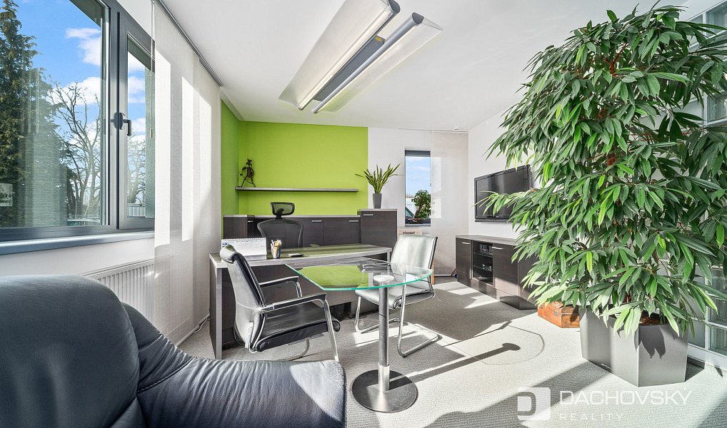 Prodej obchodních prostor 374 m², Pardubice – náhled fotky 20