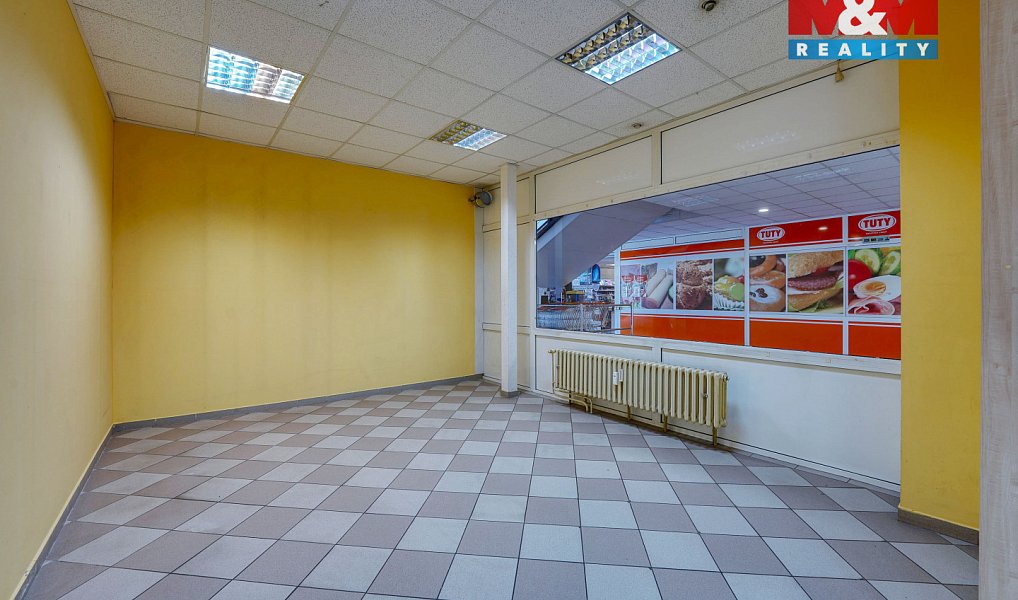 Pronájem obchodních prostor 133 m², Třemošná – náhled fotky 4
