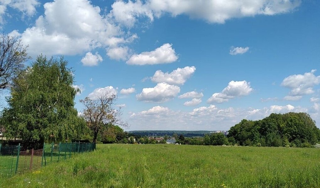 Prodej stavebního pozemku 2 600 m², Václavovice – náhled fotky 5