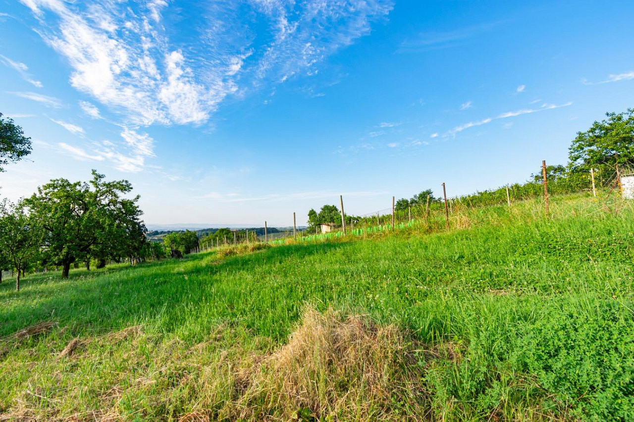 Prodej zahrady 1 878 m² – fotografie 4