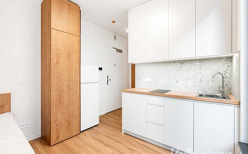 Pronájem bytu 1+kk 18 m², Na Větrníku, Praha 6 - Břevnov