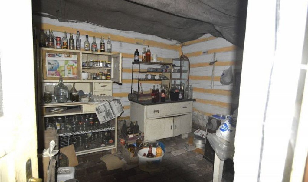 Prodej chaty/chalupy 120 m² s pozemkem 4 183 m², Horní Brusnice – náhled fotky 13