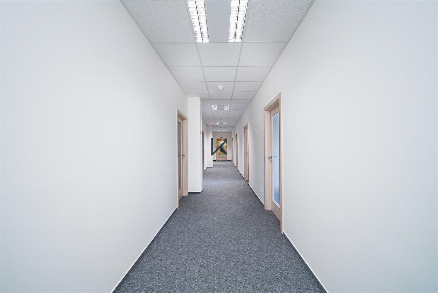 Pronájem kanceláře 268 m² – fotografie 4