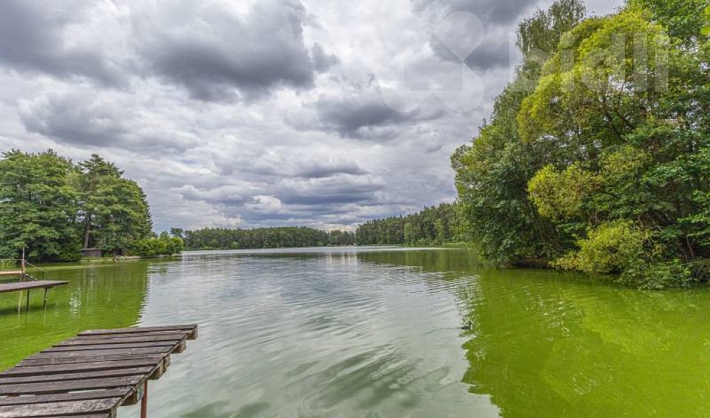 Prodej chaty/chalupy 23 m² s pozemkem 1 m², Stráž – náhled fotky 9