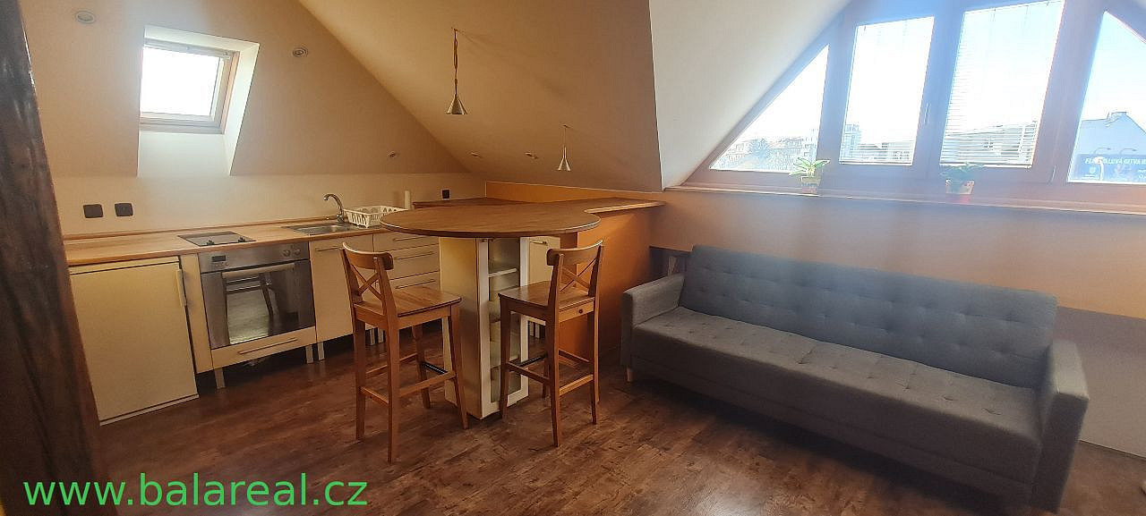 Pronájem bytu 1+kk 50 m² – fotografie 4