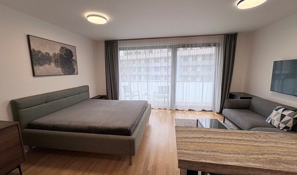 Pronájem bytu 1+kk 45 m², Praha – náhled fotky 3